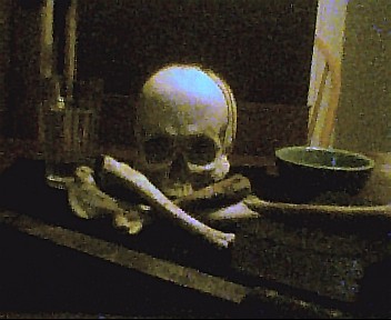 /i//sampleskull4.jpg