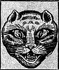 gato_negro.jpg