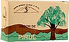 pirul.jpg